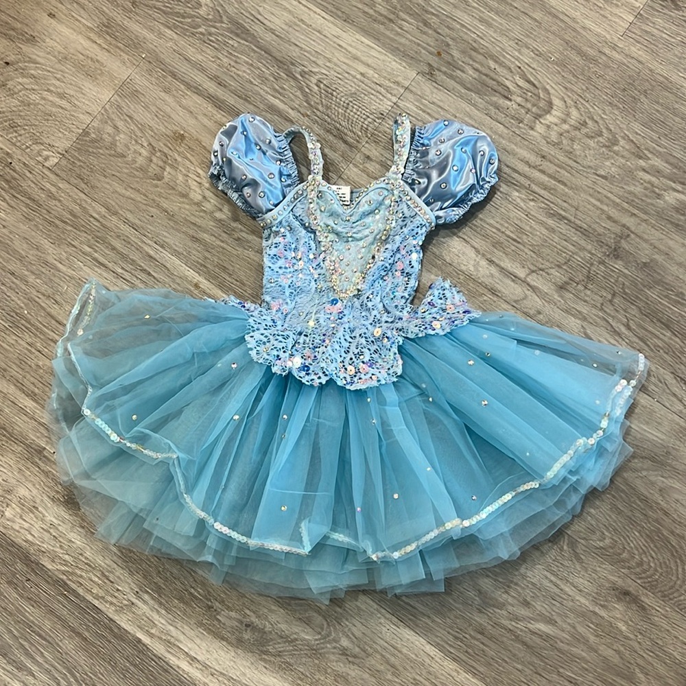 Cinderella Tutu Disney Princess Ballerina